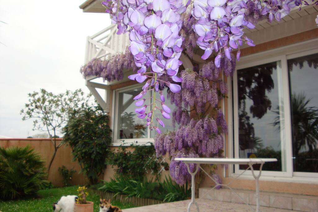 Terrasse Ouest