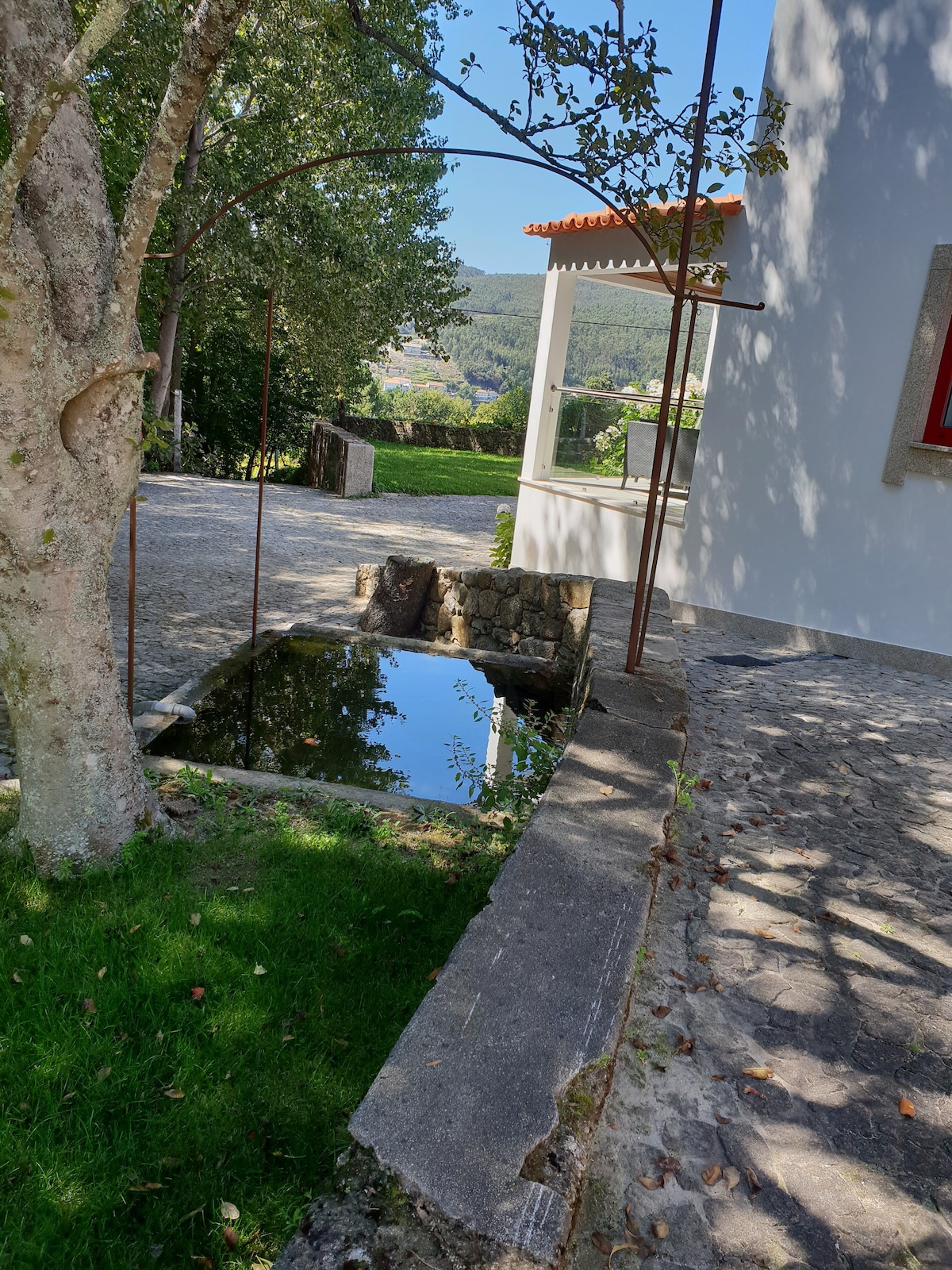 A serene outdoor area features a shallow reflection pool bordered by stonework, with greenery surrounding it. Sunlight dapples the scene, highlighting the textures of the tree bark and the smooth surface of the water, set against the backdrop of lush hills in the distance.