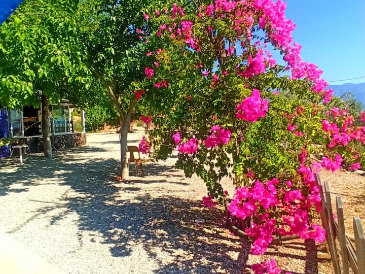 Kaş Yolu ÜZeri Ağaç Ev &Bungalov - Demre