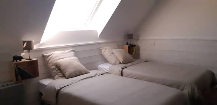 غرفة النوم بسريرين فرديين