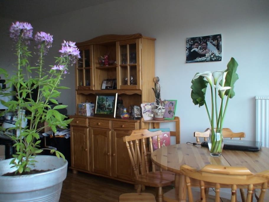 salon avec baie vitrée avec ordinateur et Wifi à dispo