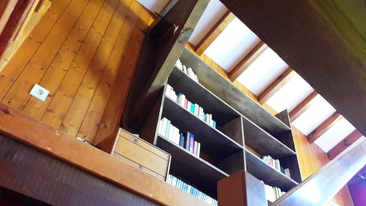 爬到一楼的客厅和卧室