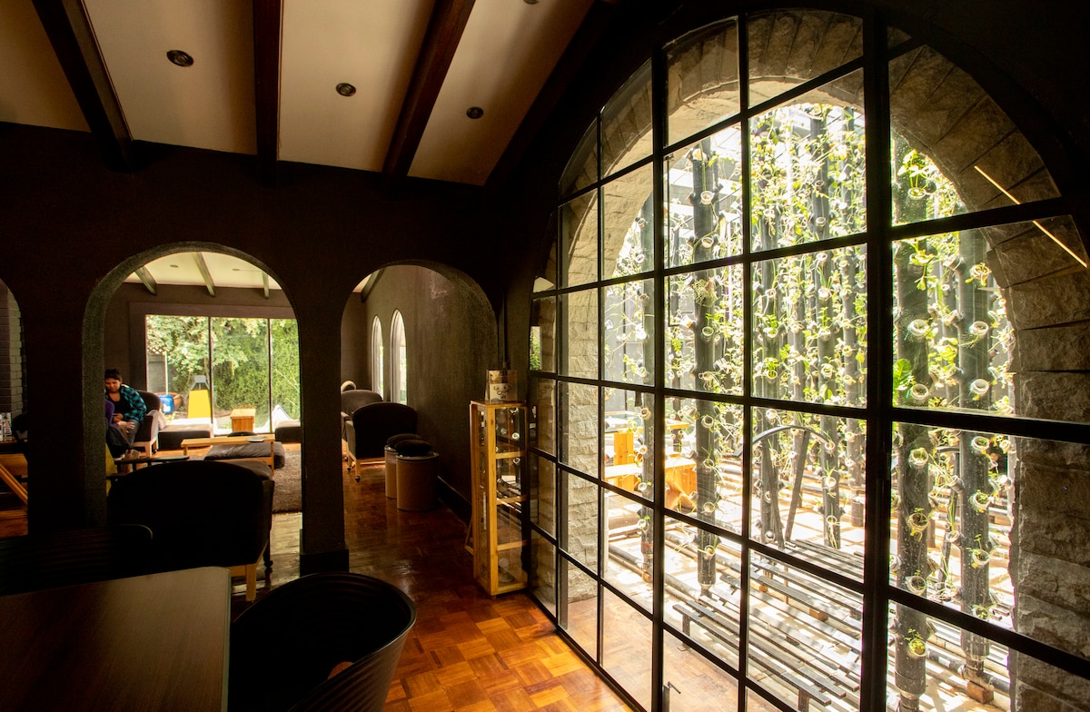 A spacious interior is framed by arched windows, revealing a vibrant vertical greenhouse filled with greenery. Sunlight filters through the glass, illuminating the wooden flooring and the modern seating area, creating a calm and relaxing environment.