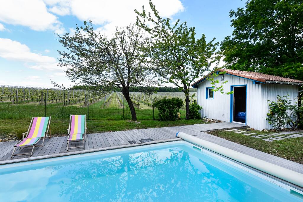Vue sur les vignes du Château Sénailhiac