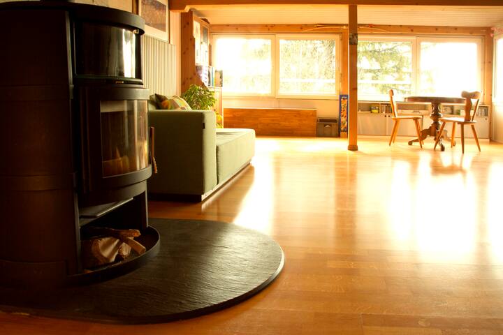 Falling in love with Bern