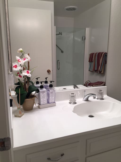 Guest bathroom