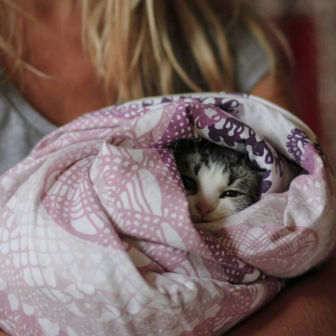 Our cutie cat *_*