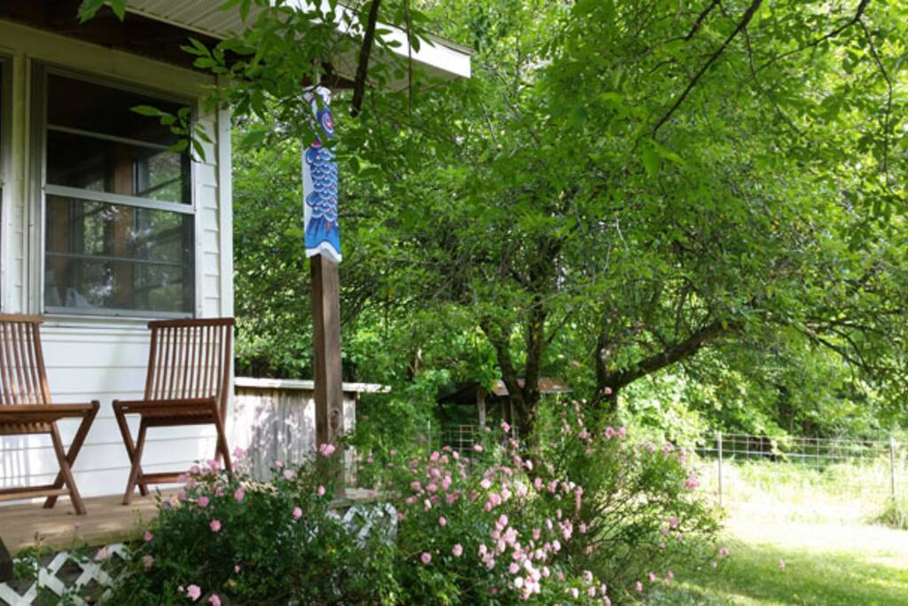 back deck