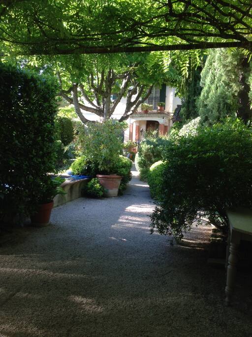 jardin été