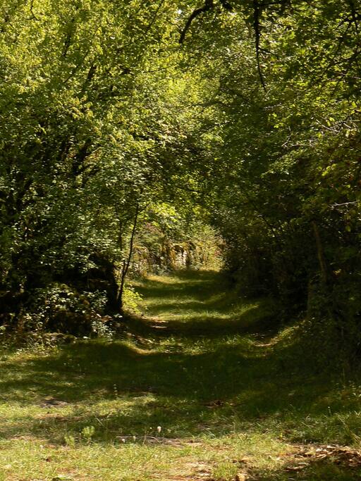 L'entrée du parc de 6 hectares