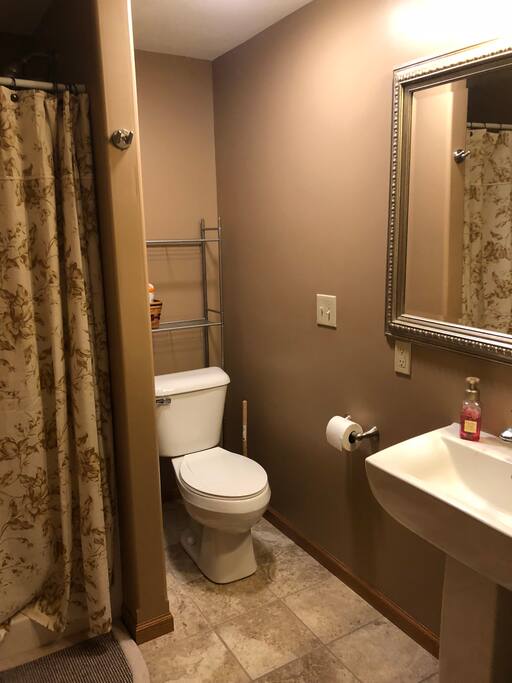 Downstairs bathroom and shower.