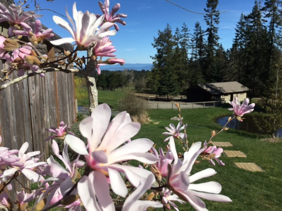 Pastoral setting. 5 min. from Parksville Beaches.