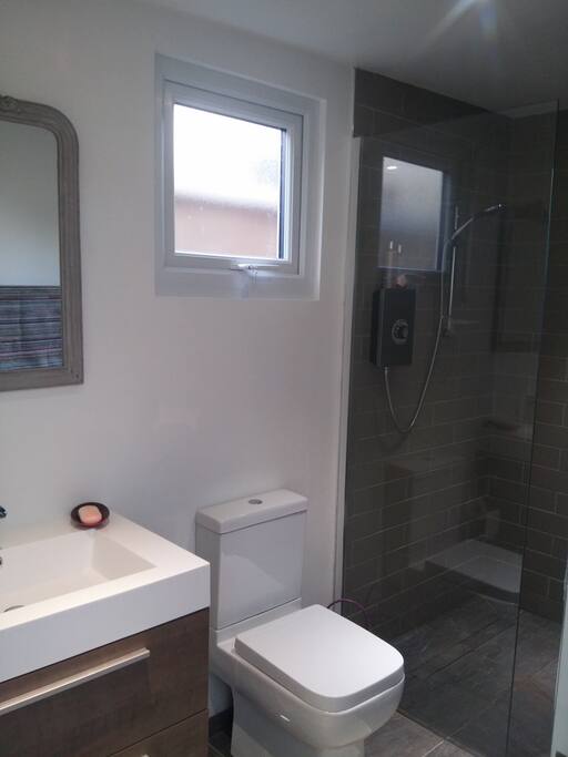 Walk in shower and WC.