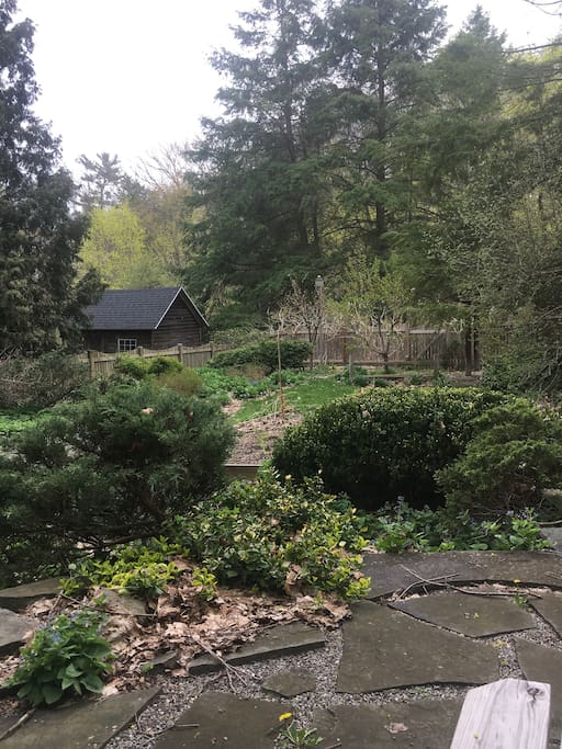 back yard with patio