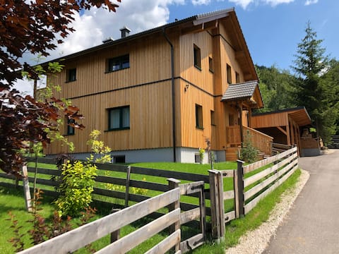 Ausseer chalet, near Hallstatt, apartments,app.2