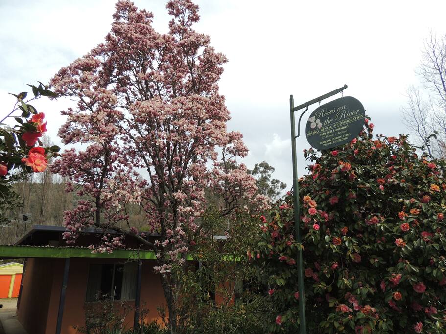 Fully self contained holiday accommodation