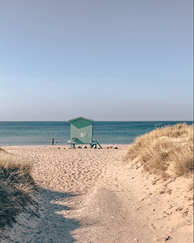 A sandy pathway leads to a beach where a small green beach hut stands facing the water. Gentle waves can be seen in the distance, and the clear blue sky complements the tranquil setting.
