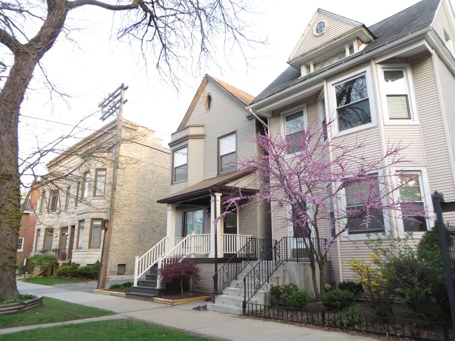 My building is easily recognized by the redbud tree, just beginning to flower in this photo.