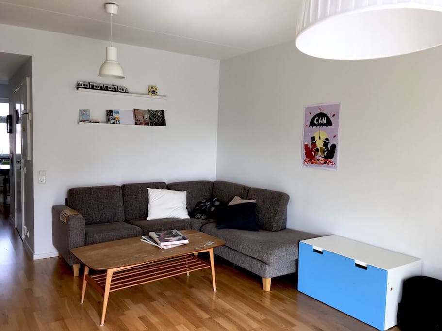 Living room couch