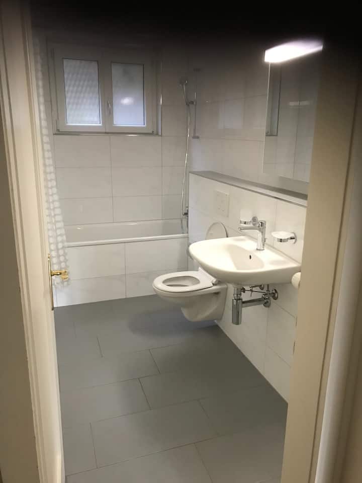 Top 10 LongTerm Rentals In Switzerland Updated 2024 Trip101