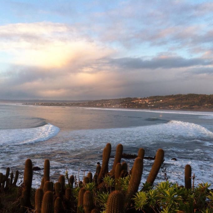 Playa Punta de Lobos