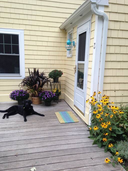 Friendly dogs welcomed! Our lab, Luck, believes everyone comes just to visit him.