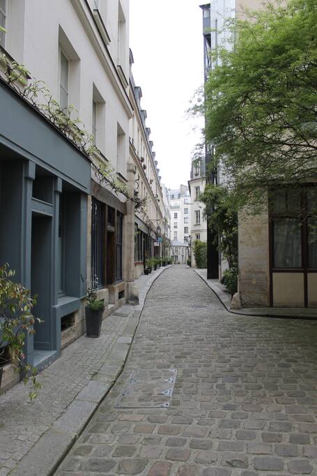 Cours privative arborée en plein coeur de Paris
