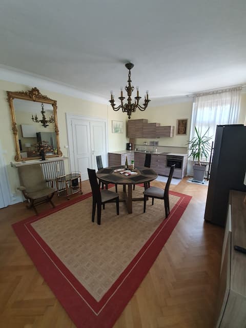 Propriété Airbnb réussie: 116m2,Air conditioning, prívate garden/freeparking à Colmar