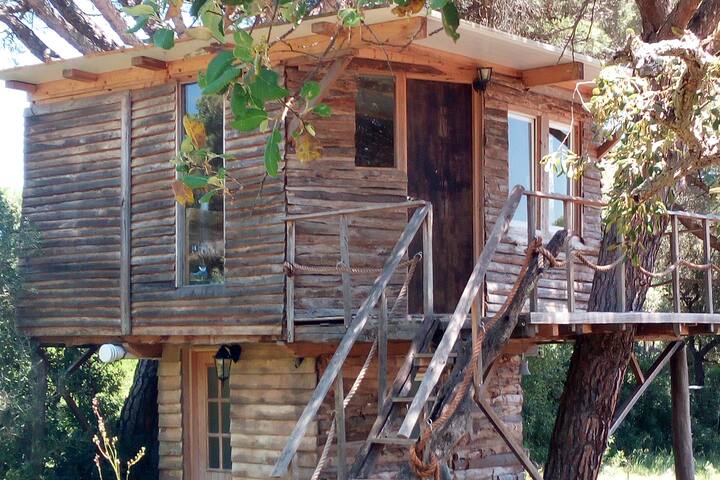 Elf Tree House In The South Casas En El Arbol En Alquiler En Vejer De La Frontera Andalucia Espana