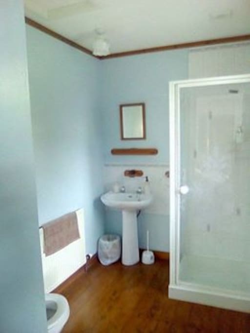 Large en suite shower room