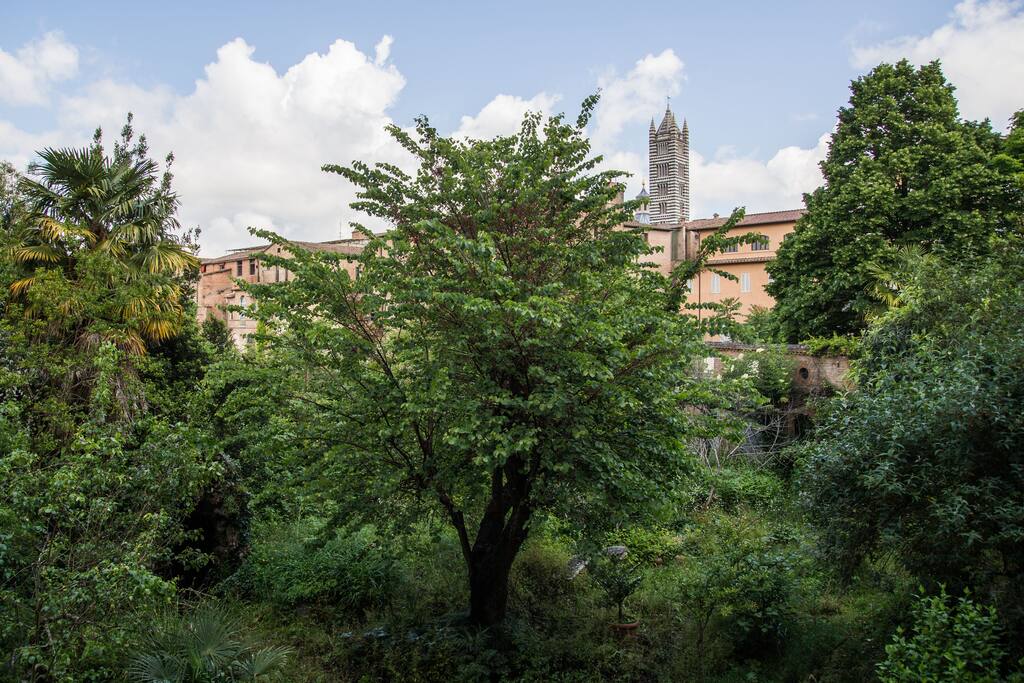 view of cathedral from large bedroom