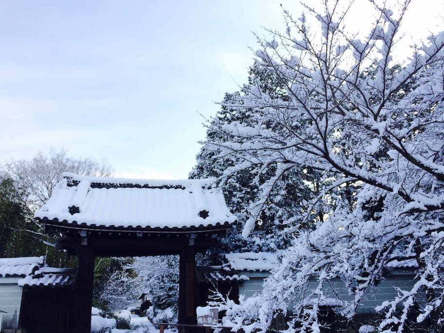 Temple gate in snow(Rare)