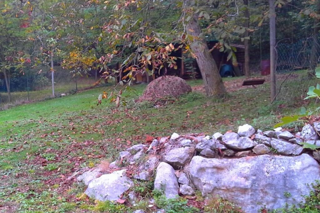 Out the back