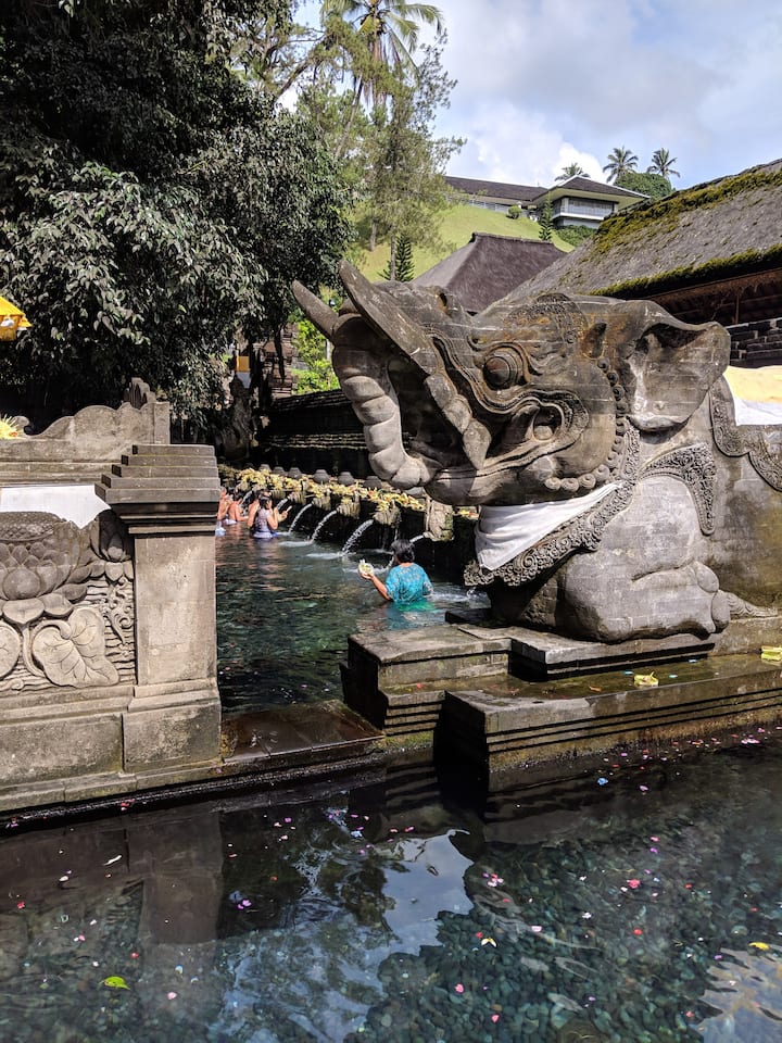 The famous Balinese water temple.