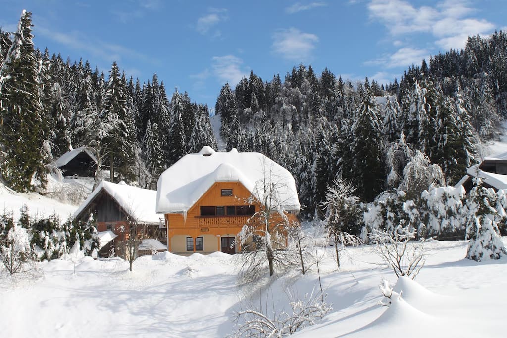 Our homestead in winter