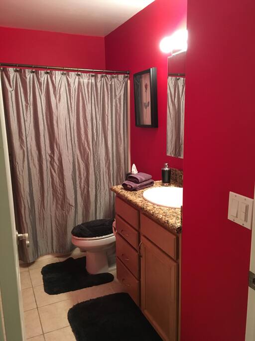 Main/guest bathroom