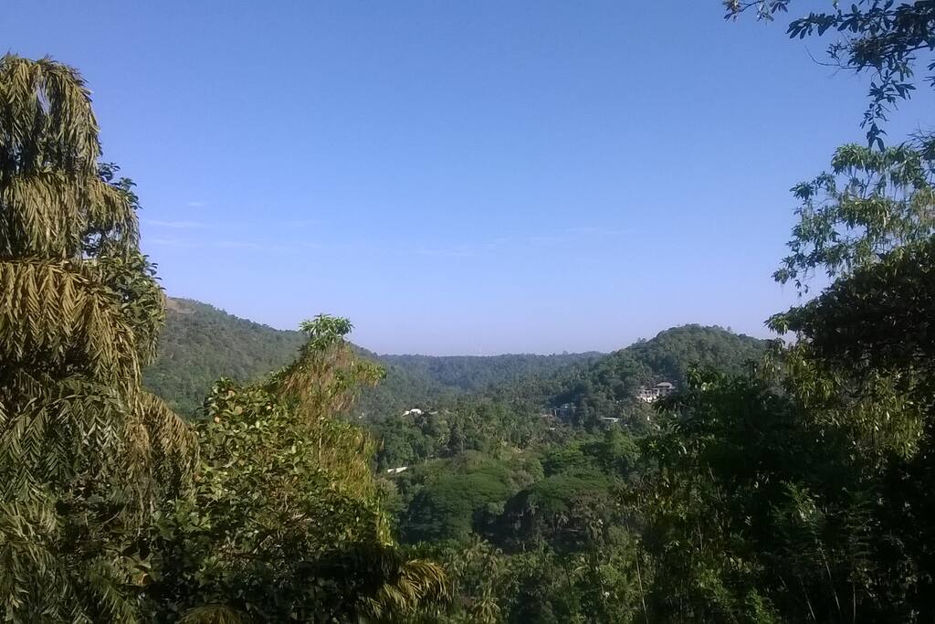 Scenery from Entrance Lounge