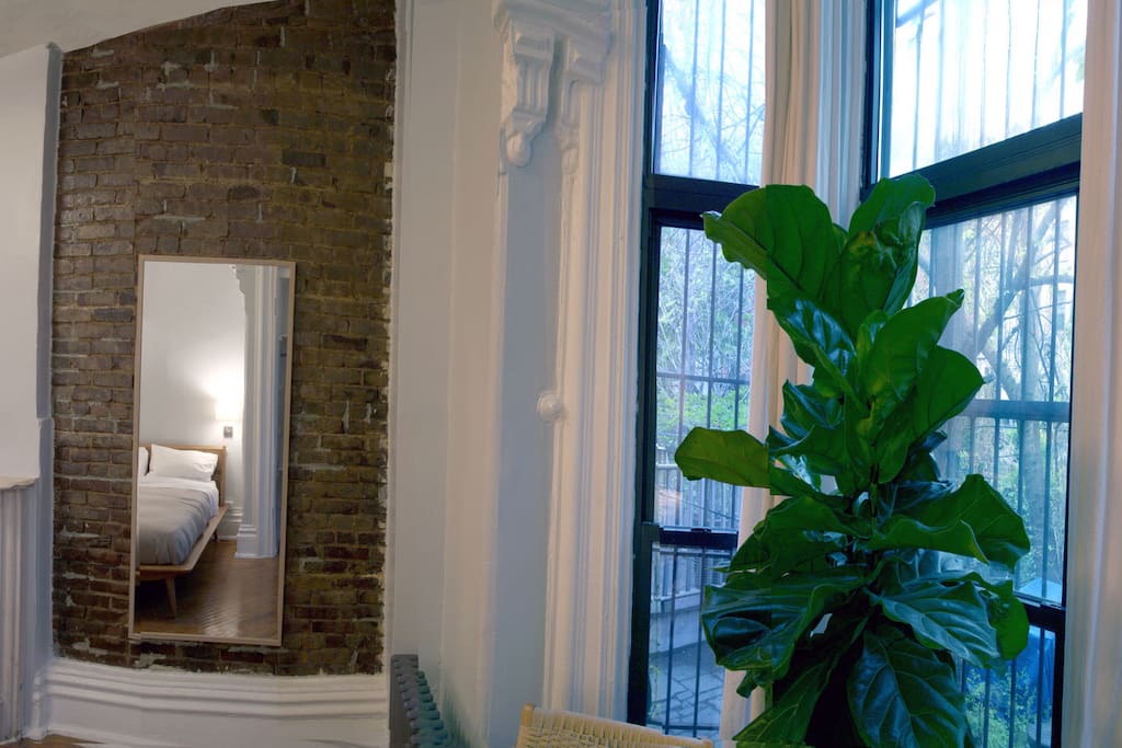 Have a seat under the fiddle leaf fig and unwind with a book or scheme your evening's adventure.