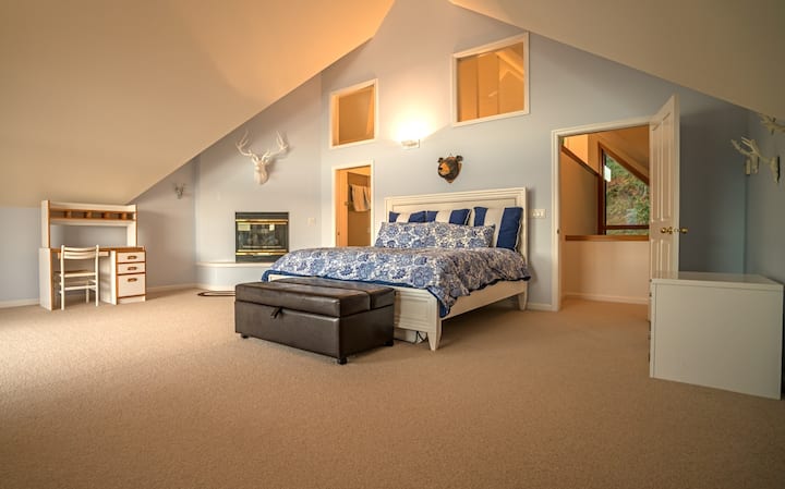 Master bedroom.  huge room with lots of natural light from windows.
Private balcony, fireplace, and king bed.
Master bedroom is accessible by a private staircase from lower level.
Ottoman opens into a twin sleeper.