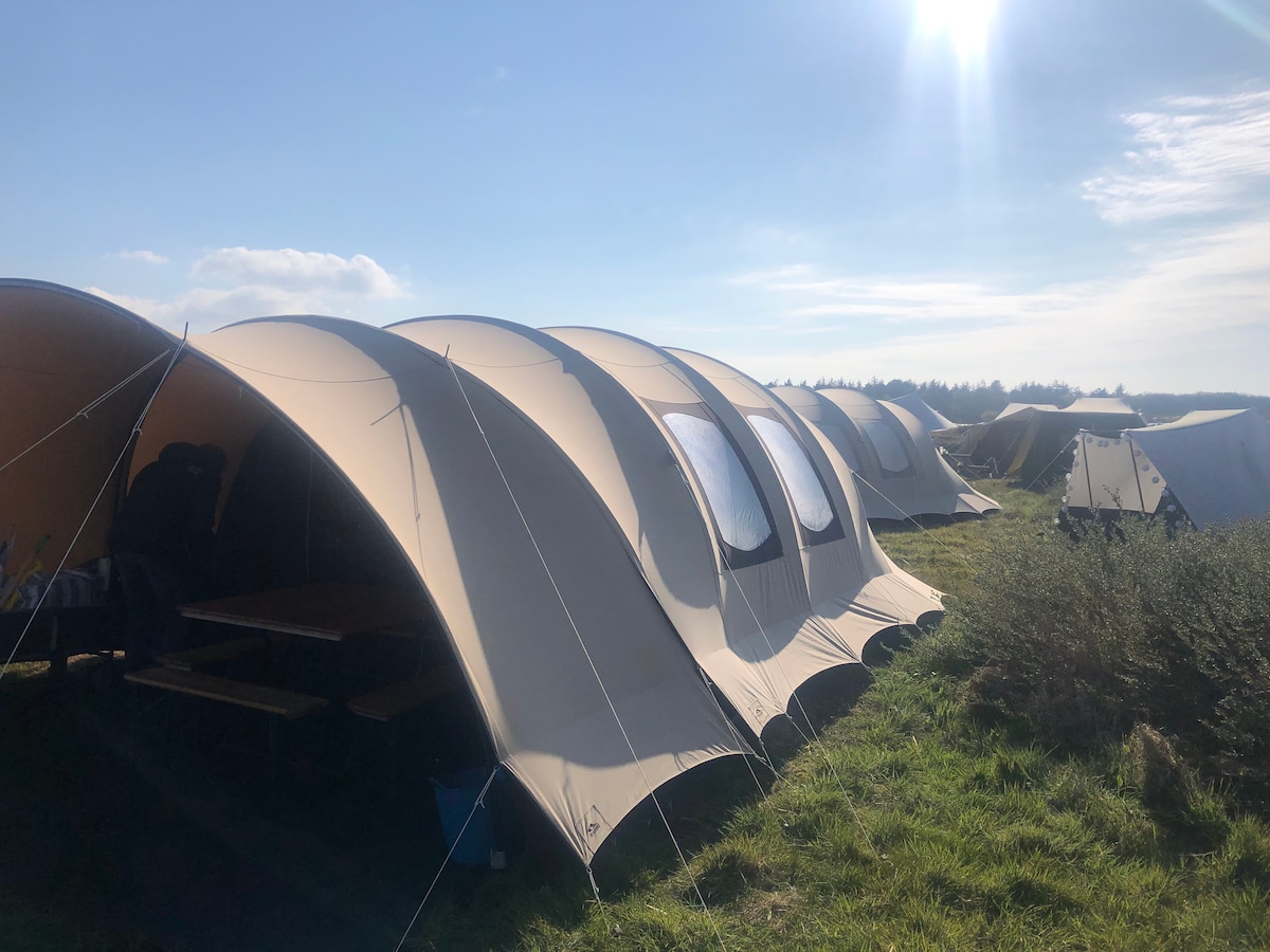 Several large outdoor tents are arranged in a grassy area, showcasing their spacious entrances and large windows. Sunlight illuminates the scene, with clear skies in the background and distant trees visible along the horizon.