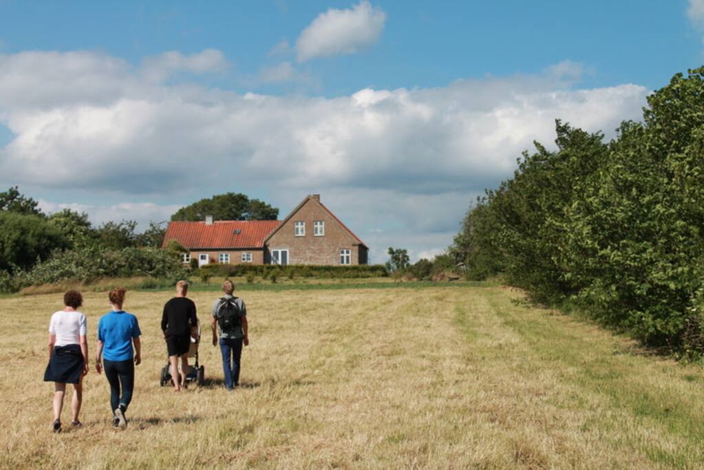 På toppen af Ærø