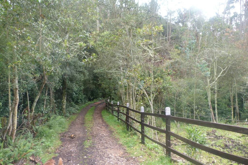 Entrada privada a la propiedad