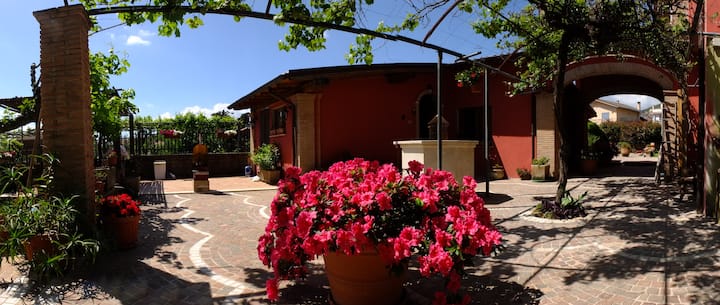 Lupupa Bb - Valmontone