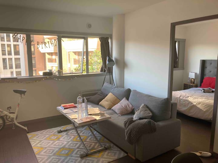 Beautiful apartment in the city center of Toulouse Apartments for
