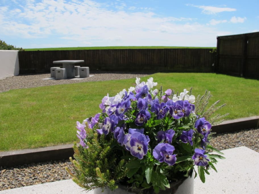Enclosed Rear Garden