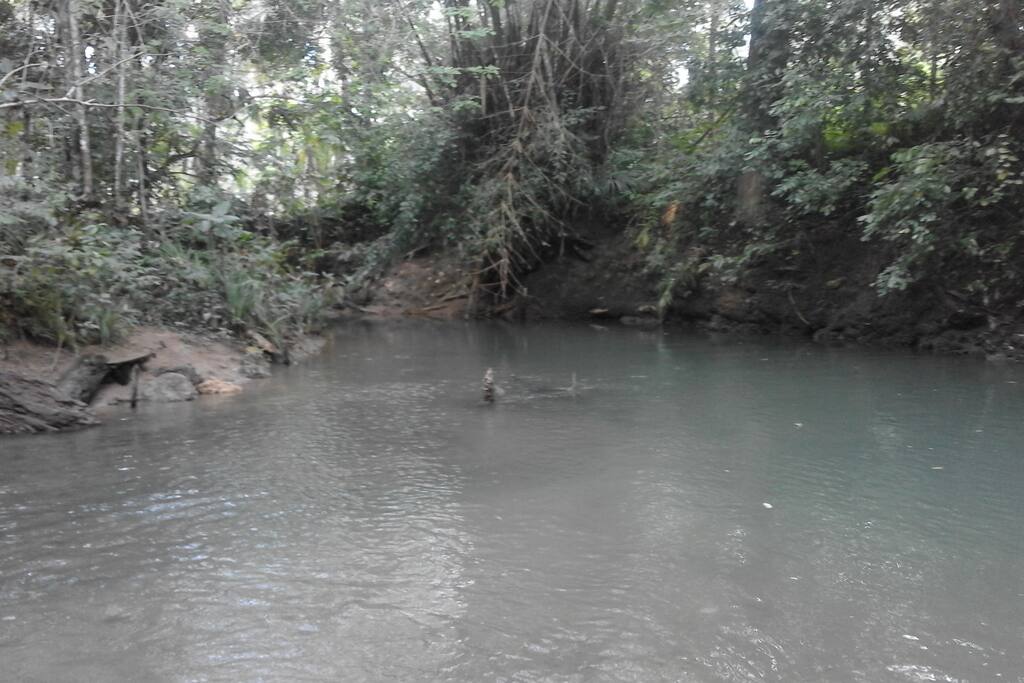 One of the small pools where you may spot a fish or two!