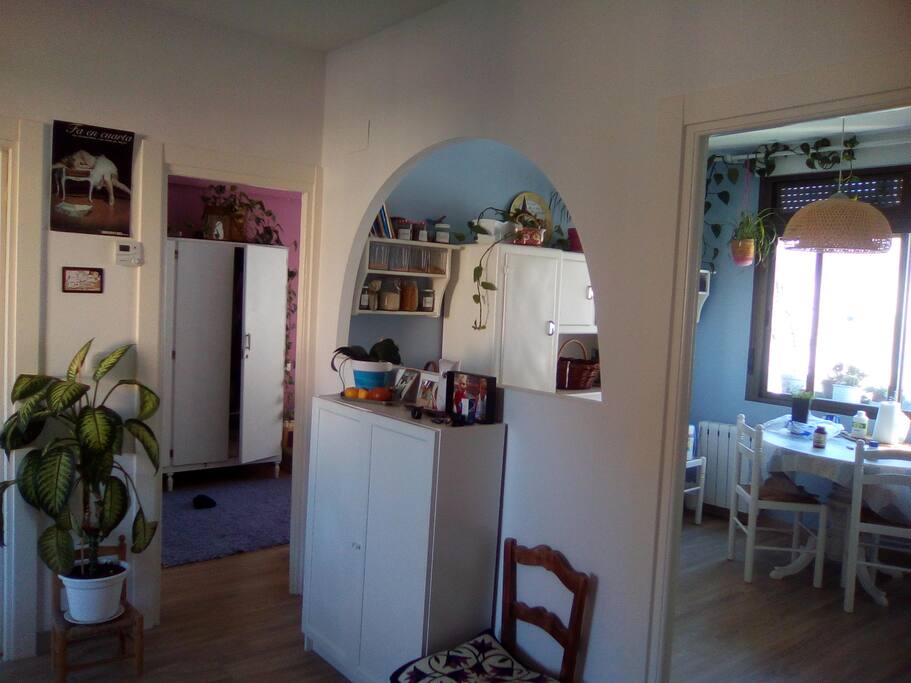Cocina y entrada