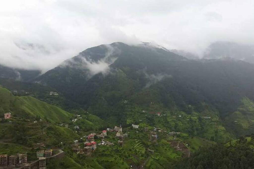 Greenery is at a different level when the rains are around..