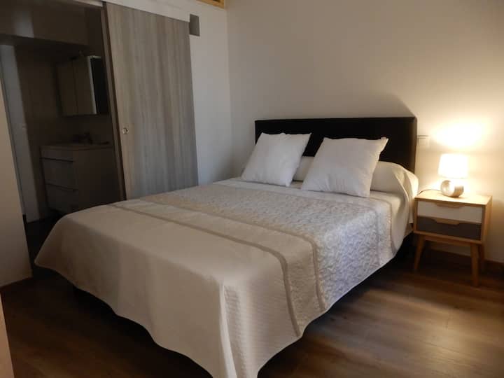 At the foot of SainteCécile Cathedral Apartments for Rent in Albi