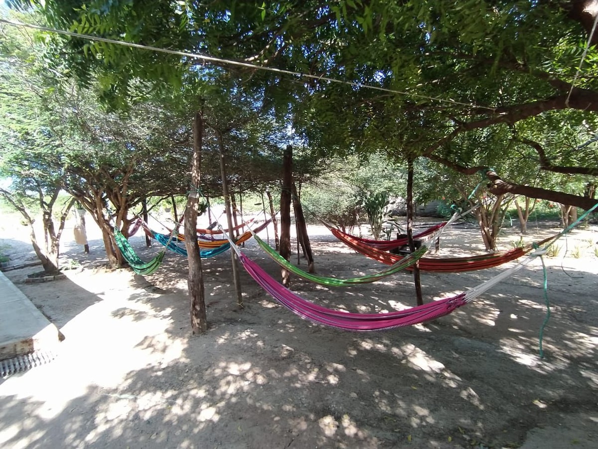 A tranquil outdoor area is visible, featuring multiple colorful hammocks suspended between trees. The shaded spot offers a mix of vibrant colors against earthy tones, inviting relaxation in a natural setting. Sunlight filters through the leaves, creating dappled patterns on the ground.